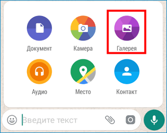 Зайти в галерею в WhatsApp