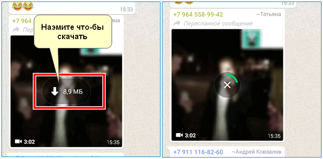 Скачать видео в WhatsApp