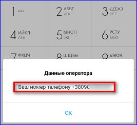 Информационное окно оператора с номером телефона