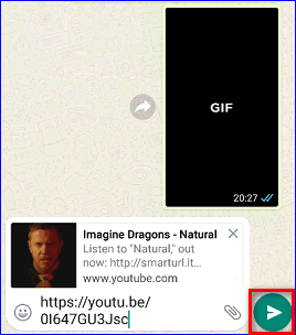 Кнопка отправки видео сообщения в диалоге WhatsApp